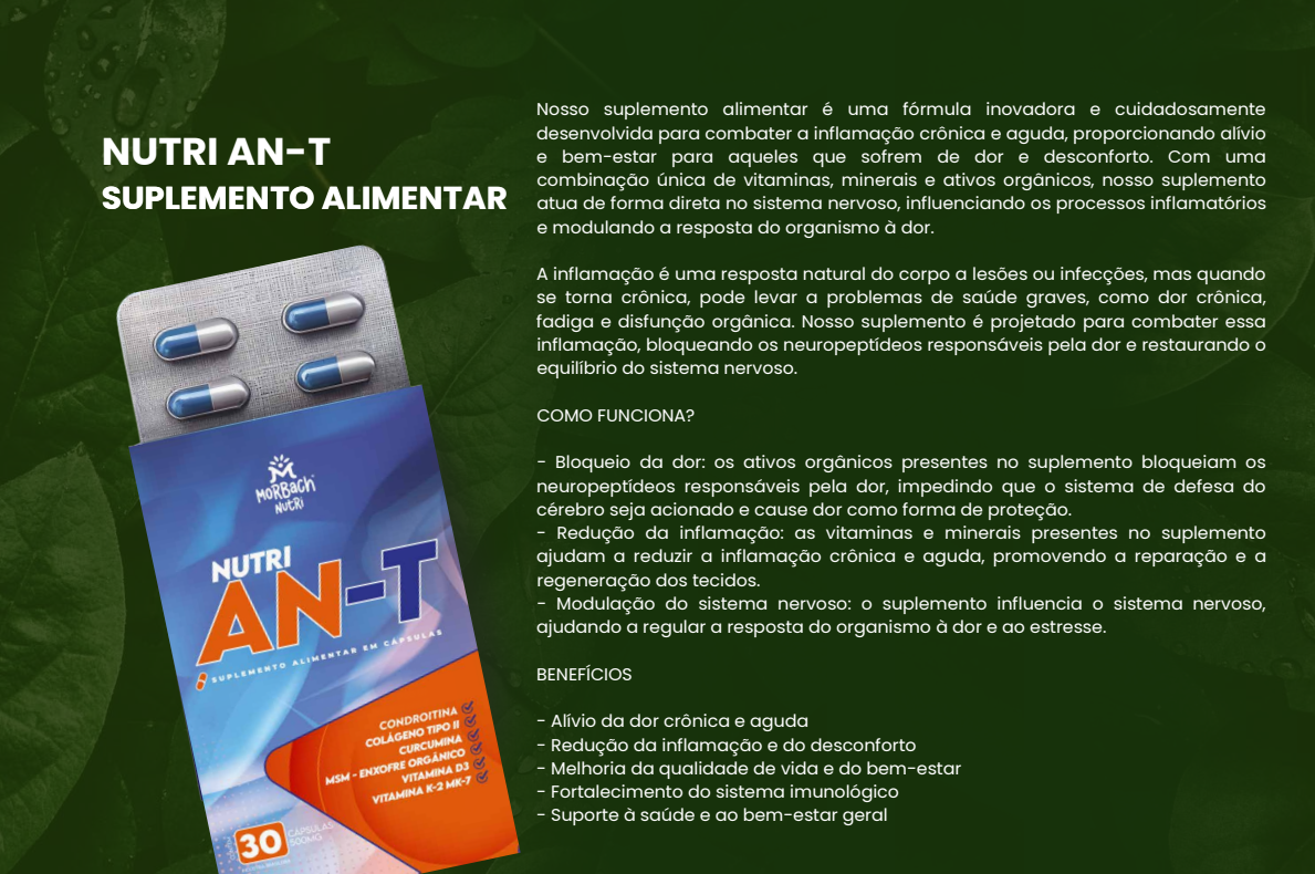 AN-T